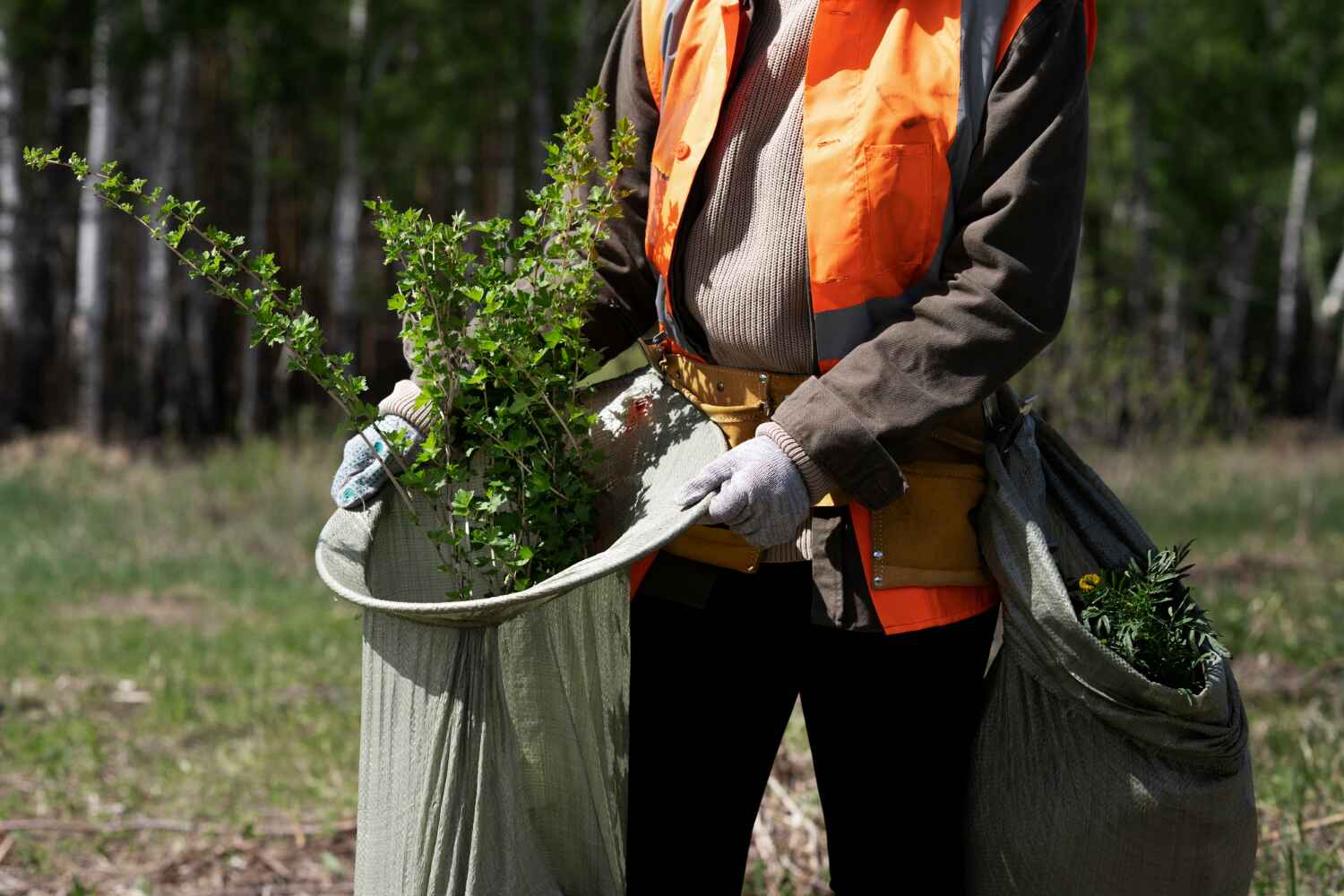 Tree Branch Trimming in Ludowici, GA